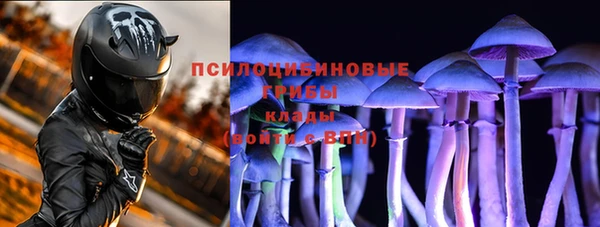 шишки Остров