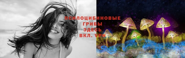 MESCALINE Осинники