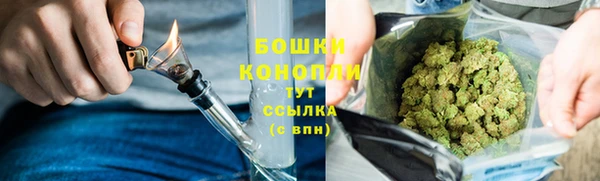 MESCALINE Осинники