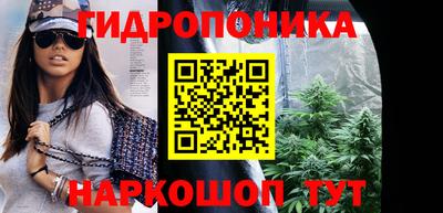 apvp Бердск