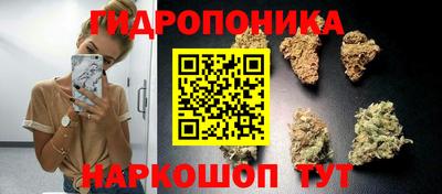 apvp Бердск