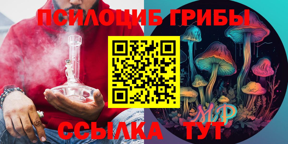 Псилоцибиновые грибы Psilocybe Черемхово
