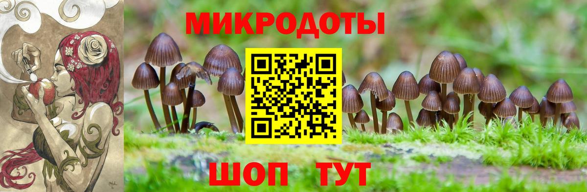 Черемхово  Галлюциногенные грибы MAGIC MUSHROOMS  Вход с VPN  Галлюциногенные грибы GOLDEN TEACHER 
